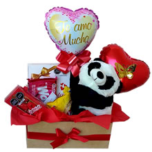 gifts for mother's day, gift delivery, home delivery of gifts, baskets for mother's day, gift delivery for mother's day, gifts Peru, gift delivery Peru, stuffed toy with chocolates, stuffed panda with sweets, corporate gifts, personalized gifts
