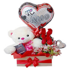gifts for lovers, gifts for Valentine's Day, delivery of floral arrangements, delivery of gifts, gifts with roses and stuffed animals, delivery of gifts at home, plush toys and flowers, gifts Lima, gifts Peru