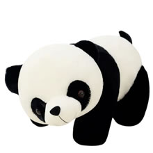 large stuffed animals, giant stuffed animals in Lima, stuffed animals delivery, stuffed animals gifts, teddy bears in Lima, Peluches Perú, stuffed animals for sale in Lima, stuffed animals store in Lima, panda bear, stuffed animals for gifts